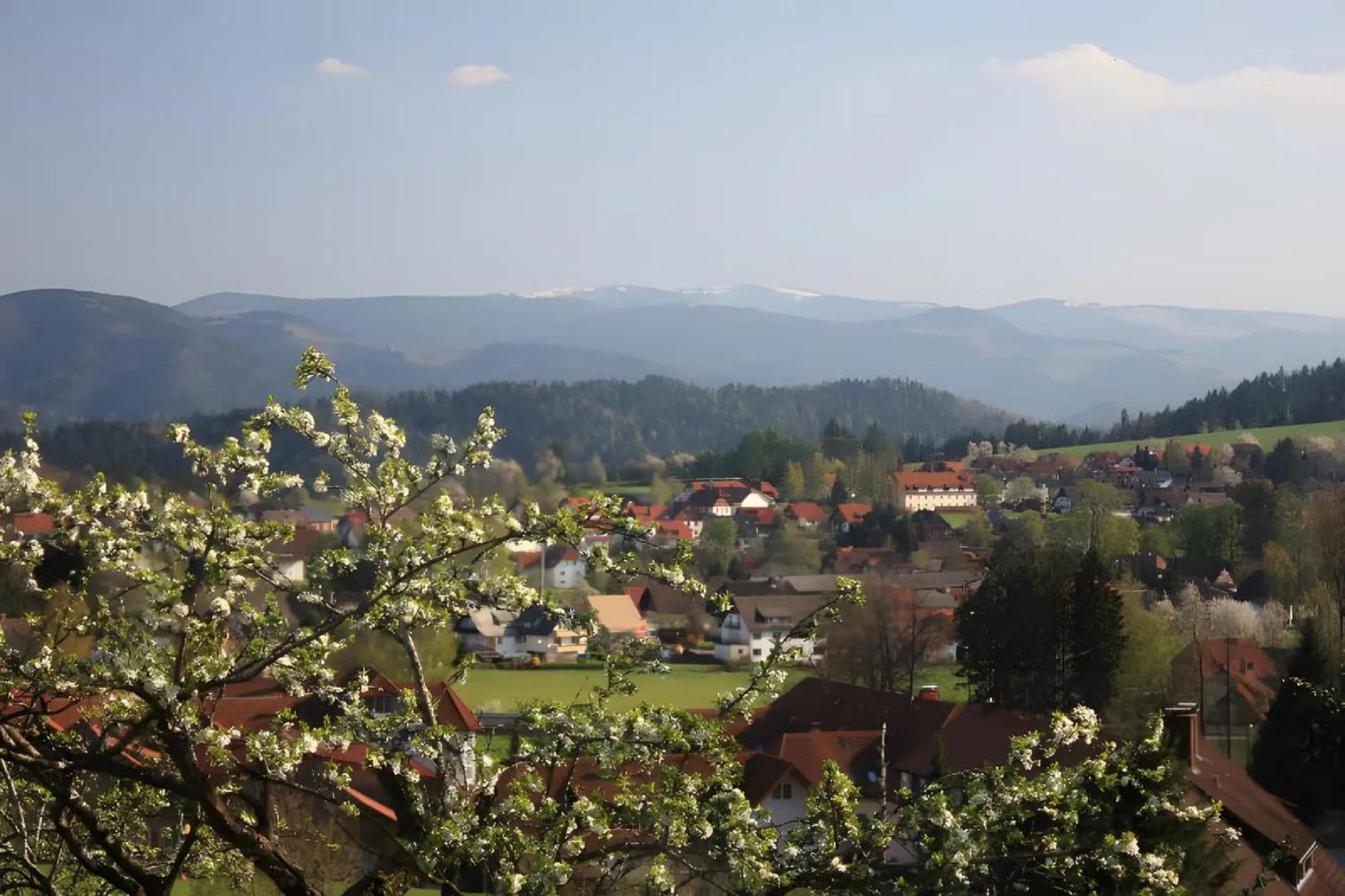 Апартаменти Ferien Auf Dem Steingrubenhof Санкт-Петер Екстер'єр фото
